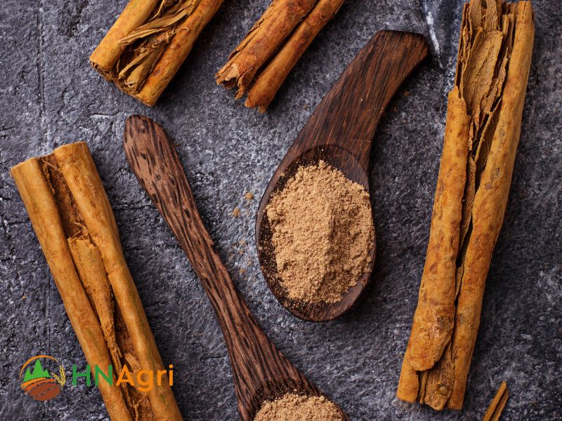ceylon-cinnamon-in-bulk-the-beneficial-purchase-for-wholesalers-3